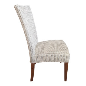 Esszimmer Stühle 6 Stück Rattanstühle Esstisch Stühle Wintergarten Cardine weiß
