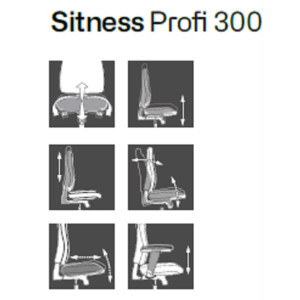 Topstar Bürodrehstuhl  Sitness Profi 300 braun