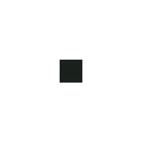 D424 schwarz